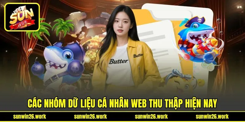 Các nhóm dữ liệu cá nhân web thu thập hiện nay Các nhóm dữ liệu cá nhân web thu thập hiện nay